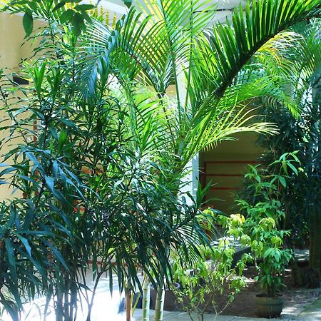 Three V Homestay Kuta  Dış mekan fotoğraf