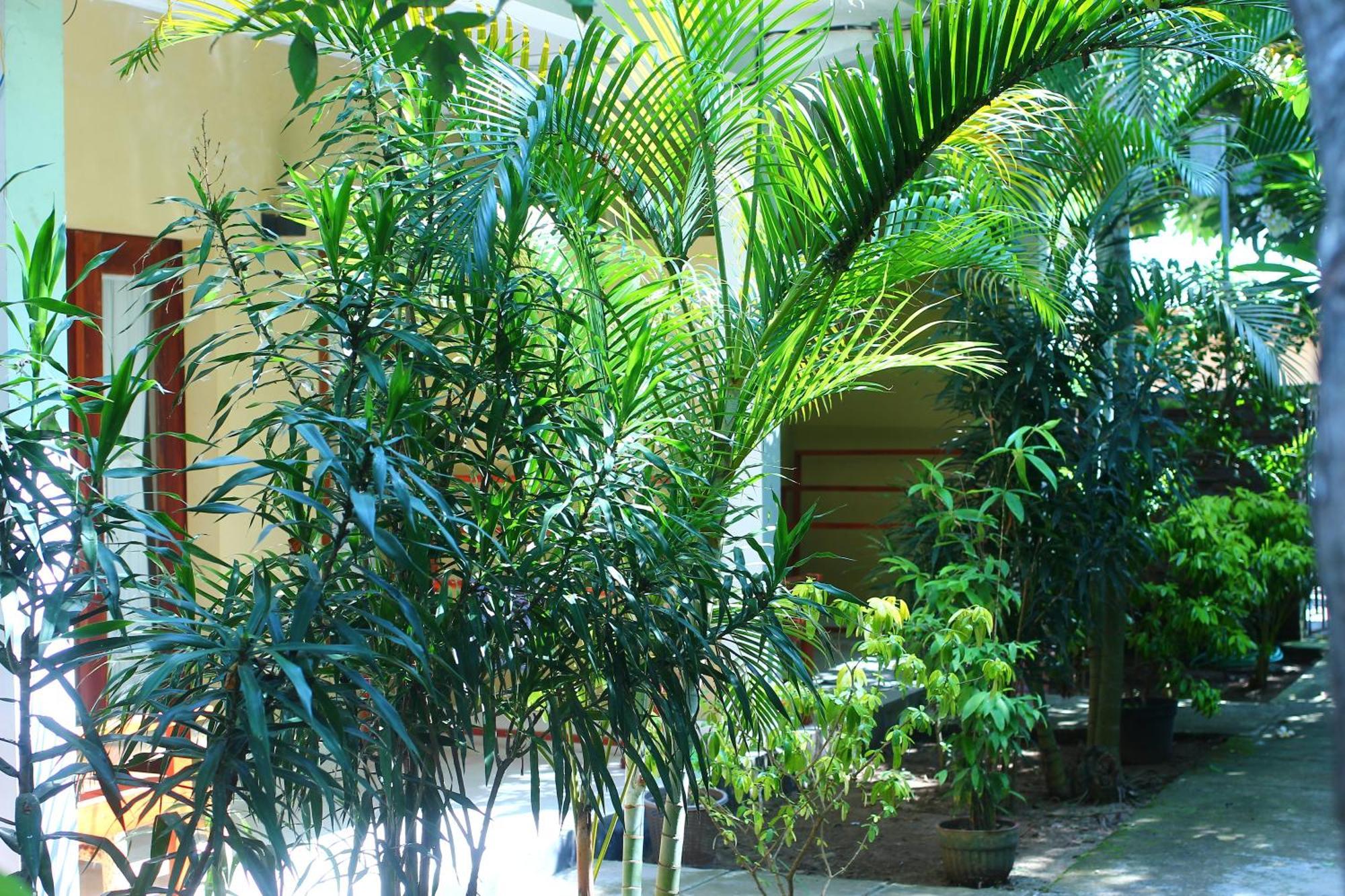 Three V Homestay Kuta  Dış mekan fotoğraf