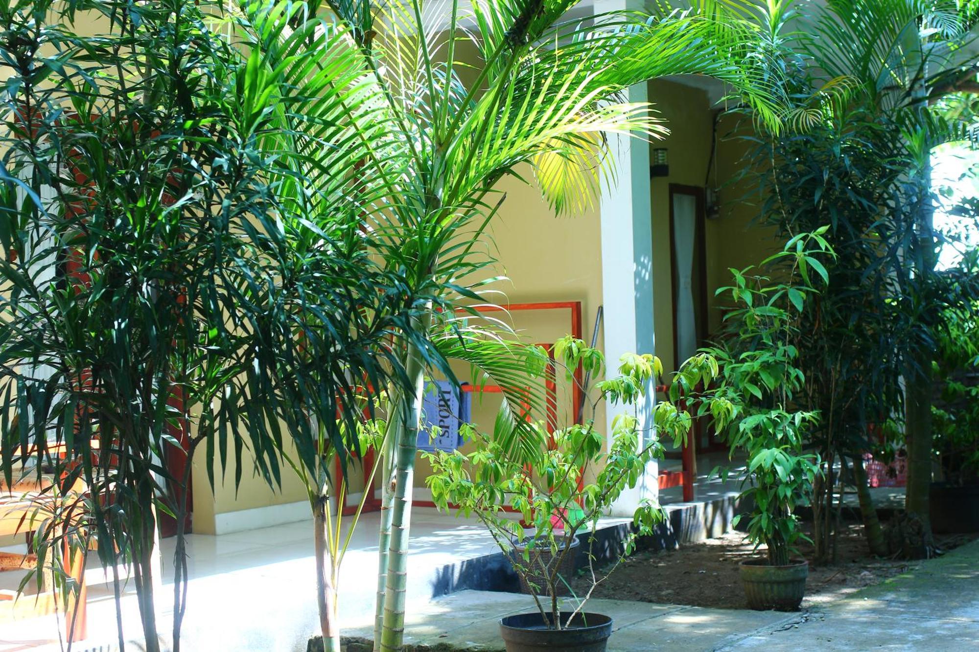 Three V Homestay Kuta  Dış mekan fotoğraf