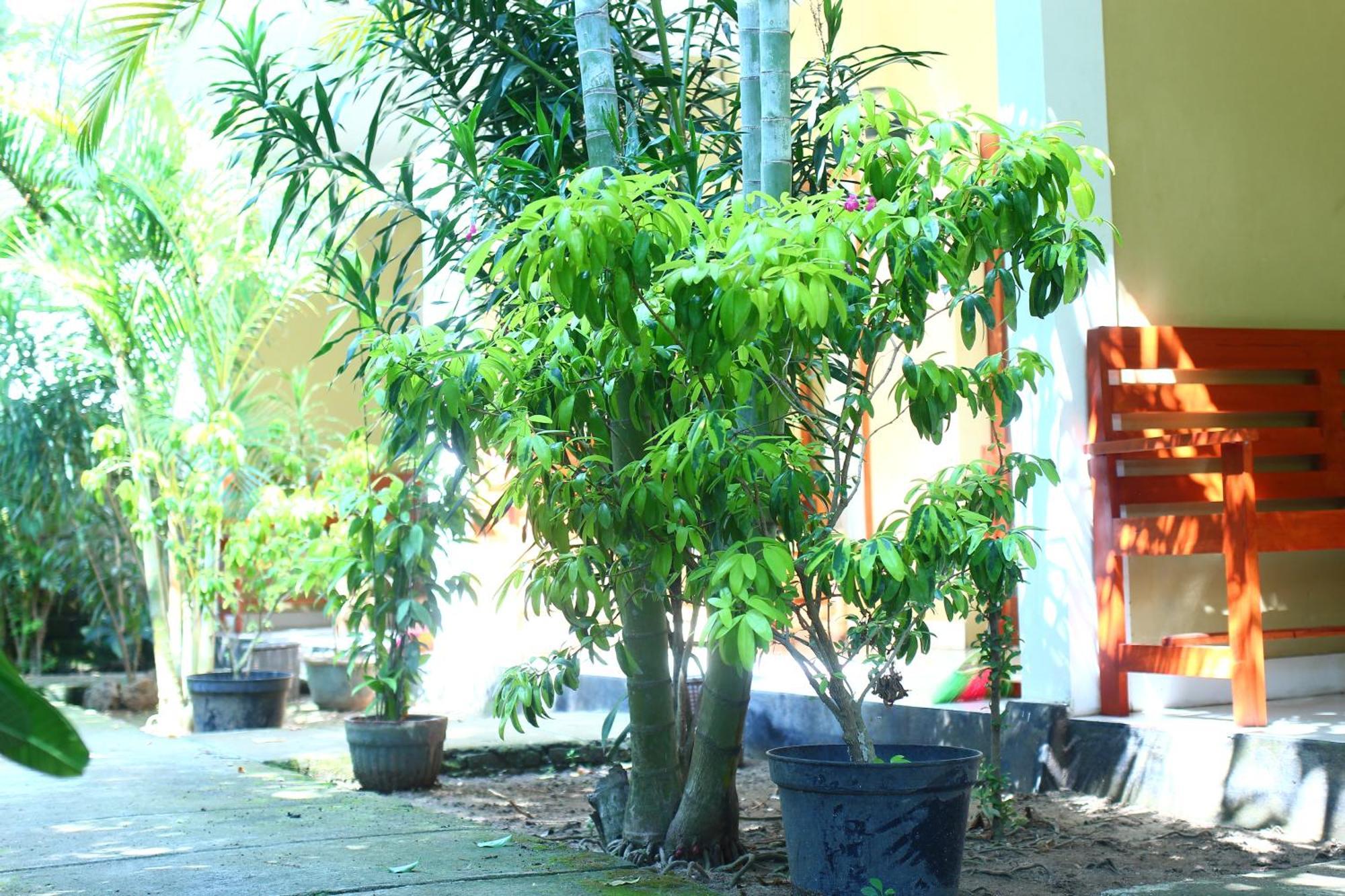 Three V Homestay Kuta  Dış mekan fotoğraf