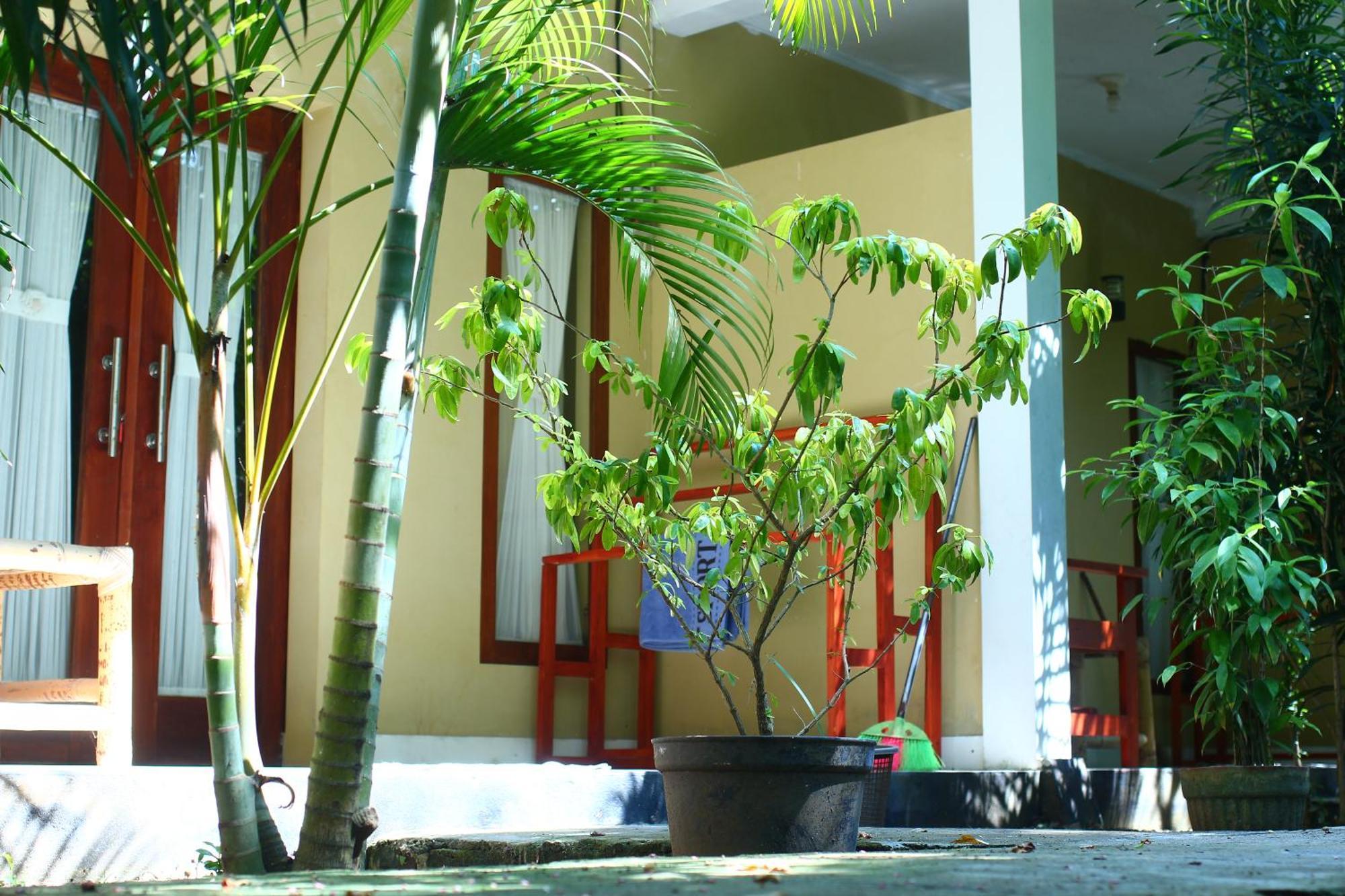 Three V Homestay Kuta  Dış mekan fotoğraf