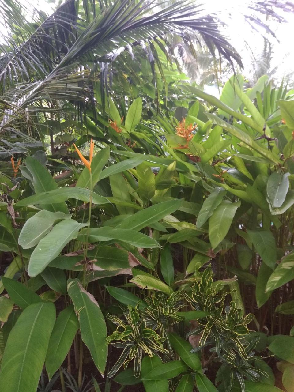 Three V Homestay Kuta  Dış mekan fotoğraf